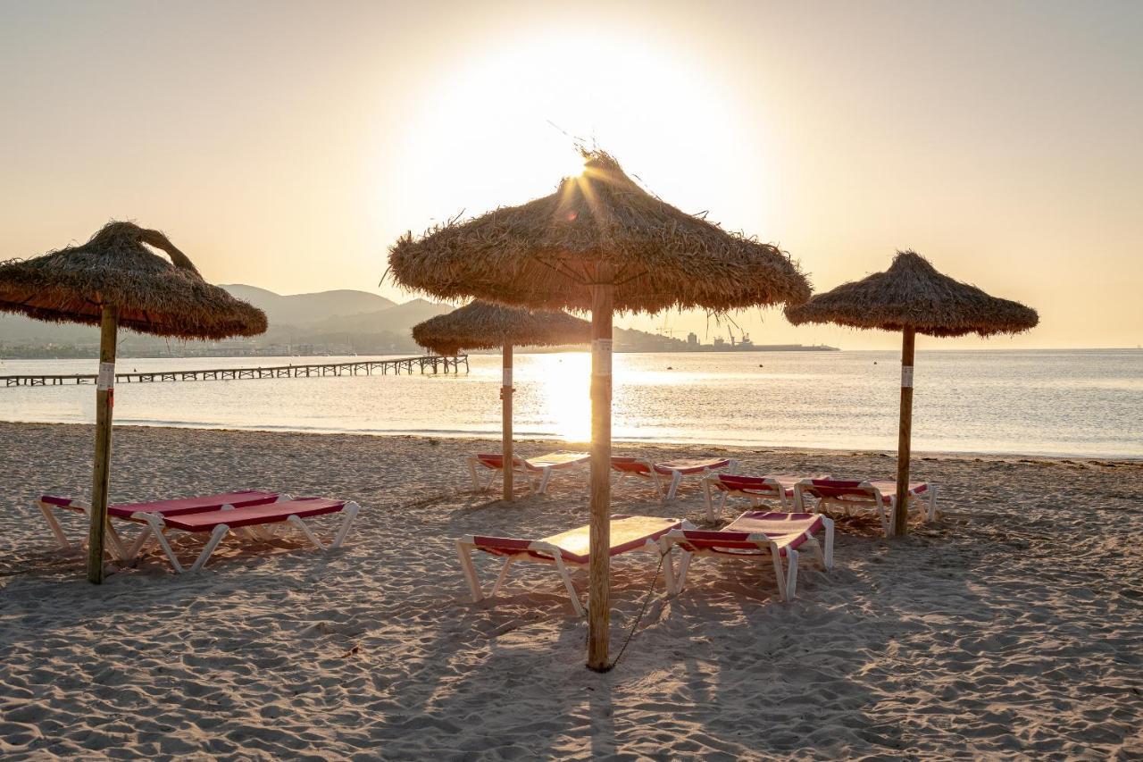 Apartments Playa Alcudia  Exterior photo